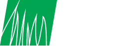 Emerald Green Turf